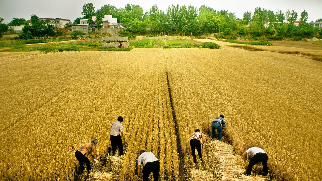 Плыви, пока море не станет синим